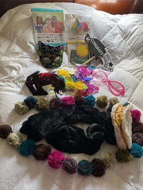 Photo Booth Props. Lot Of New Prop Sticks Masks Hats Wraps Wedding Parties
